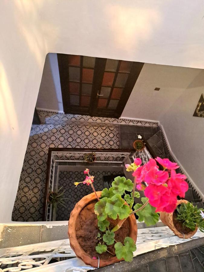 Hostel Dar Tamanart 马拉喀什 外观 照片
